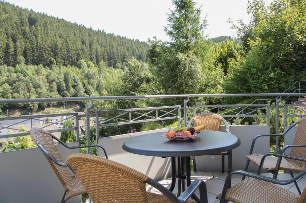 Residenz Muehlenberg In Willingen 2 Apartment Luaran gambar
